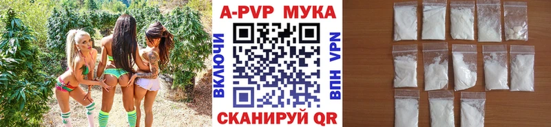 А ПВП СК КРИС  Ржев 