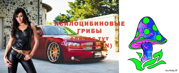 соль ск Балахна